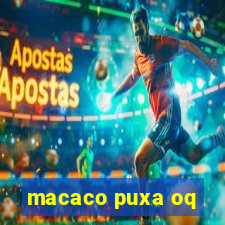 macaco puxa oq